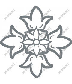 Exquisite floral mandala