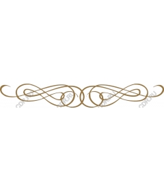  Elegant decorative flourish