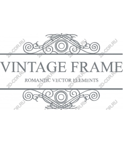 Vintage frame