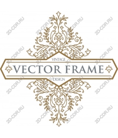 Vintage frame