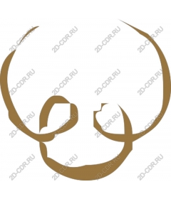 Minimalist skull