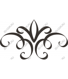  Blooming ornamental vine