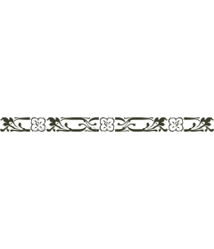  Elegant floral border