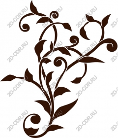 Elegant floral vine