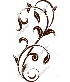  Elegant floral vine