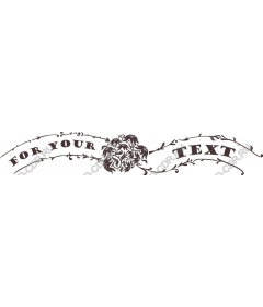  Elegant vintage banner FOR YOUR TEXT
