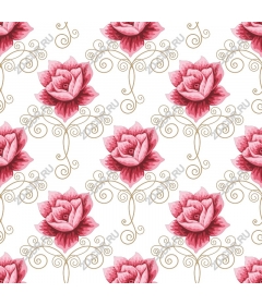 Elegant pattern with pink roses