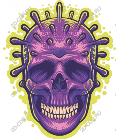  Bright skull