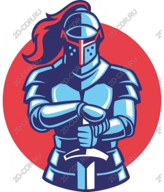  Brave knight