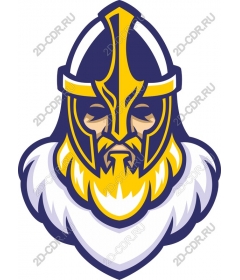  Warrior helmet Viking