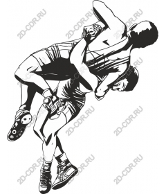 The dynamic wrestling action