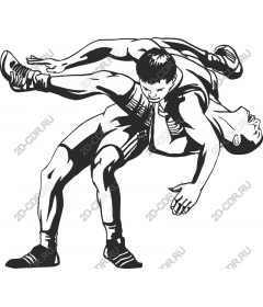 The dynamic wrestling action