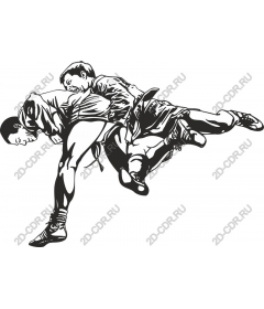The dynamic wrestling action