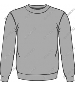  Gray hoodie