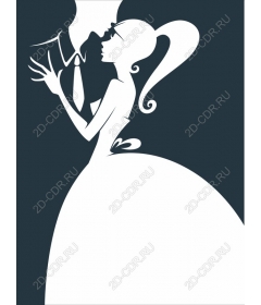 Elegant wedding couple