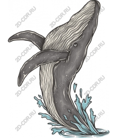 Release of whales