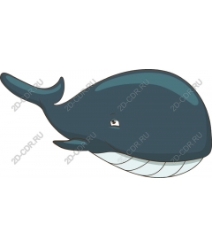 Playful whale