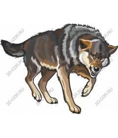  Fierce Wolf
