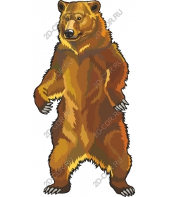 Majestic bear
