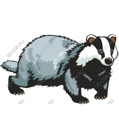  Adorable Badger