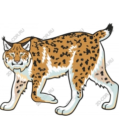 Lynx is a Dynamic art wildlife