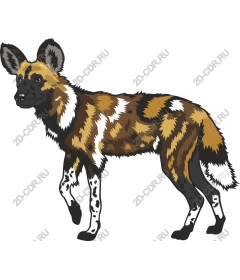  Bright African wild dog