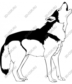 Majestic Howling Wolf