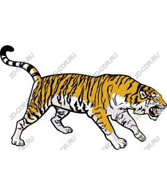  Fierce tiger