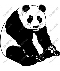  Adorable Panda