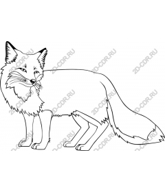  Stylized Fox