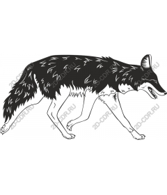  Stylish wild Fox
