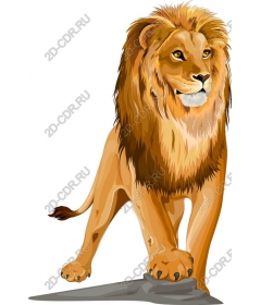 Majestic lion
