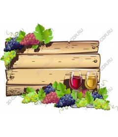  Bright sign vineyard