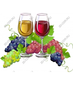  Elegant wine and grapes