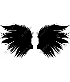  Elegant The Wings
