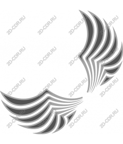 Elegant wing