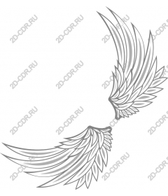 Ornate wing