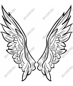  Elegant angel wings