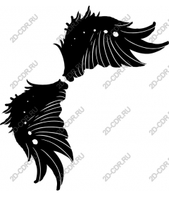  Elegant set of wings stylized with wings