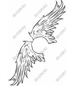 Intricate angel wings