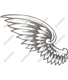 Majestic wing