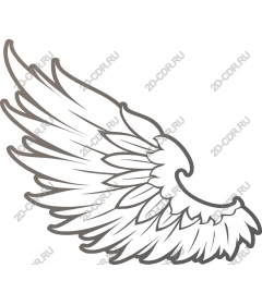 Magnificent angel wings