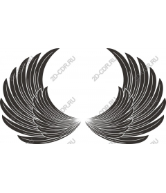  Elegant black wings