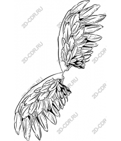  Floral wing