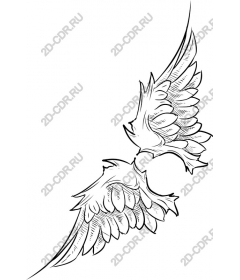  Elegant The Wings