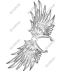  Essential wings line drawing