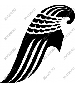  Elegant wing