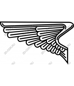 Elegant wing