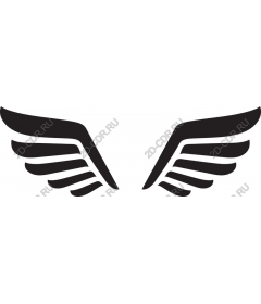  Elegant The Wings