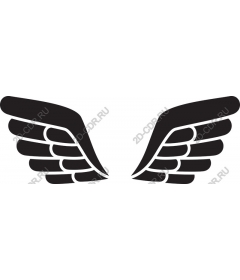  Elegant wing